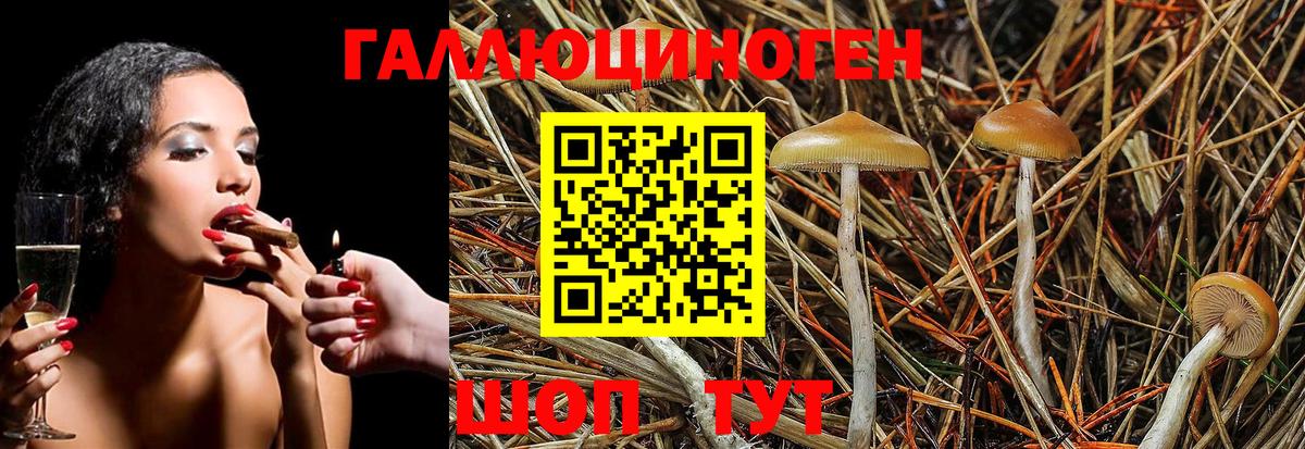 Псилоцибиновые грибы Magic Shrooms  Вход с VPN  Усолье-Сибирское 